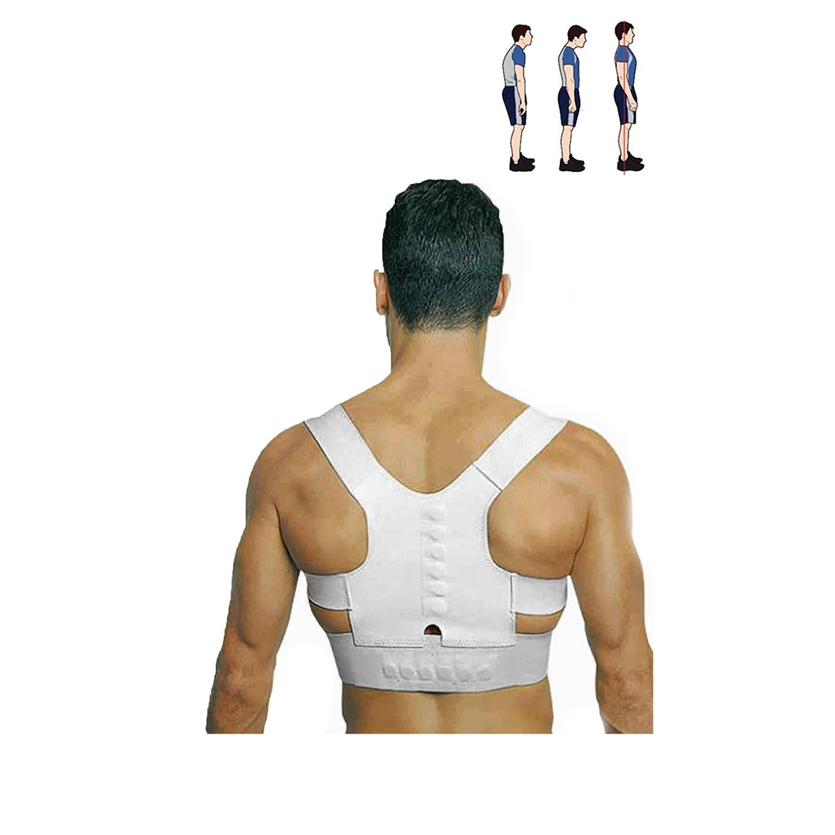 La mala postura causados por largos períodos de inactividad, al estar sentado, al conducir o en el trabajo en su escritorio durante horas puede traer sobrecarga en algunos músculos de su cuello, espalda y la alineación incorrecta de su columna vertebral, esto a su vez hace que su postura sea aún peor, ya que los distintos grupos de músculos tratan de compensar esta situación mientras otros grupos se vuelven débiles. Todo lo anterior puede resultar en defectos posturales permanentes y visibles síntomas de dolores clásicos. Corregir la postura no es tan fácil como parece, pero esta faja le ayudará a que sea sencillo.